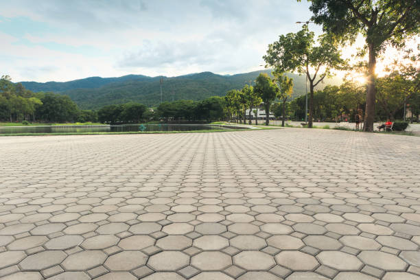 Best Custom Driveway Pavers  in Harrisburg, NC